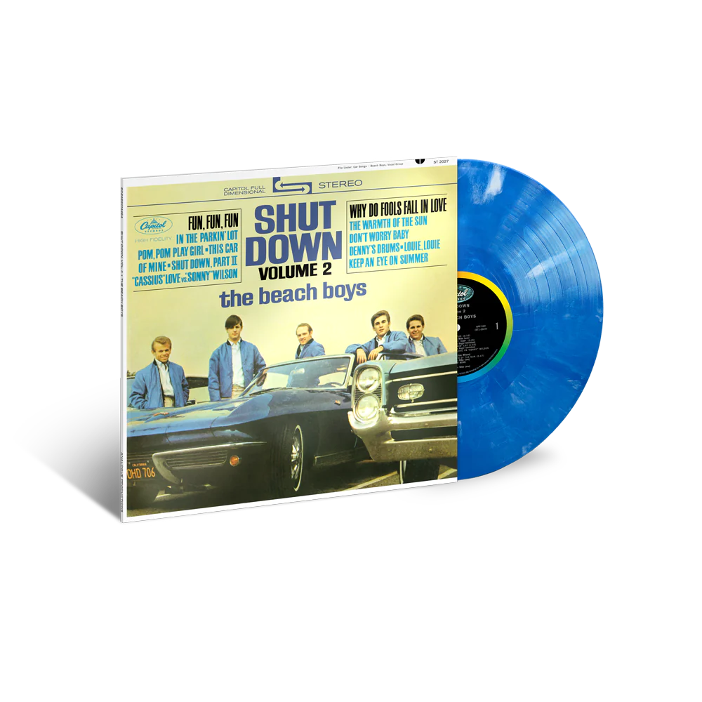 Shut Down Vol. 2 (Vinyl)