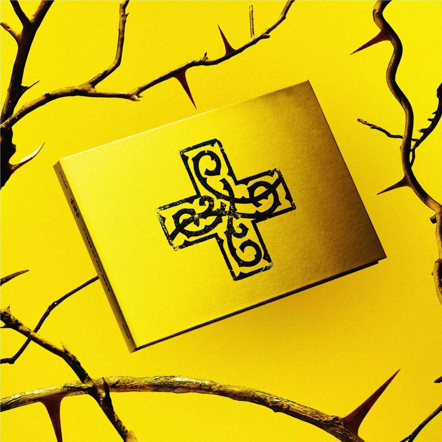 7TH YEAR: A Moment of Stillness in the Thorns (HUNGER Version CD)