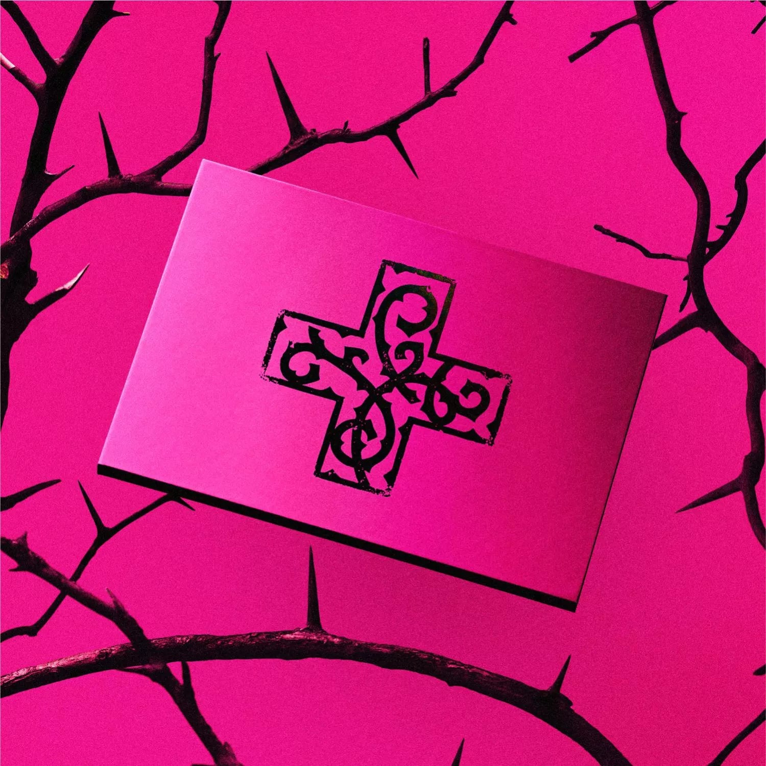 7TH YEAR: A Moment of Stillness in the Thorns (ANXIETY Version CD)