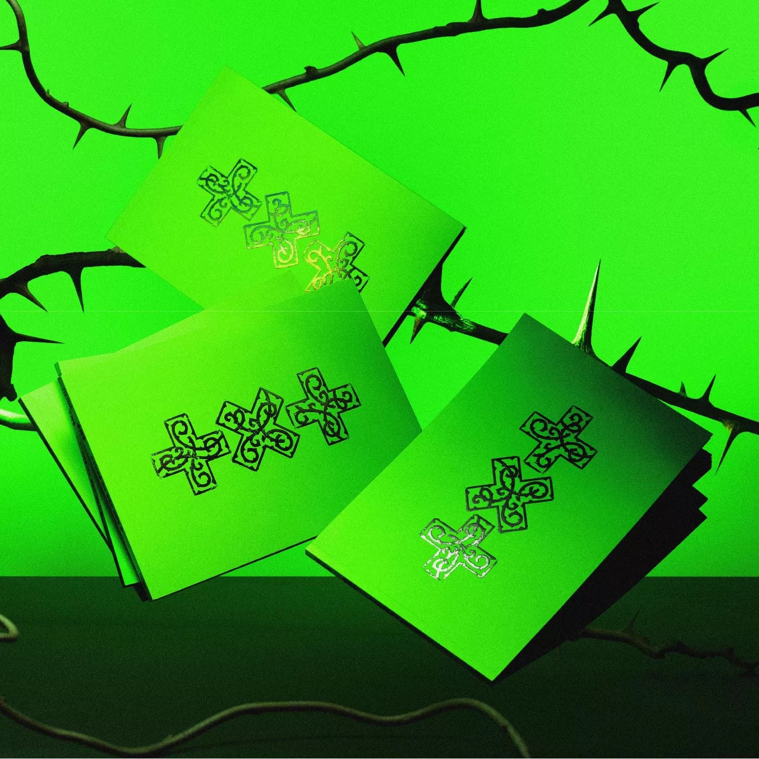 7TH YEAR: A Moment of Stillness in the Thorns (THORN Version CD)