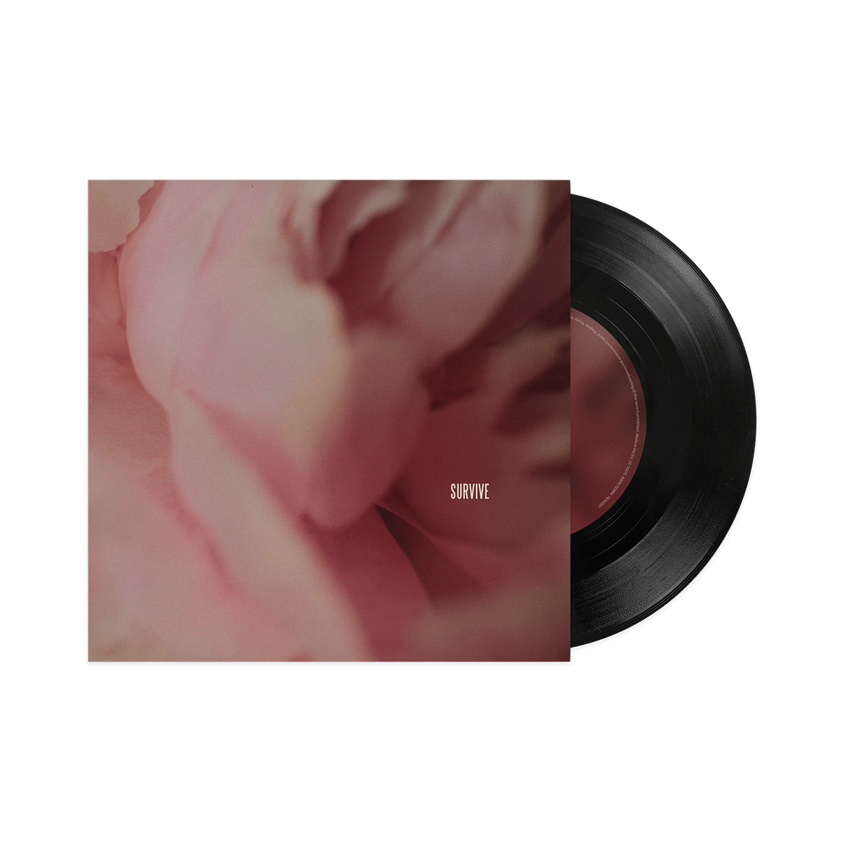 Something In The Heavens (Single Vinyl)