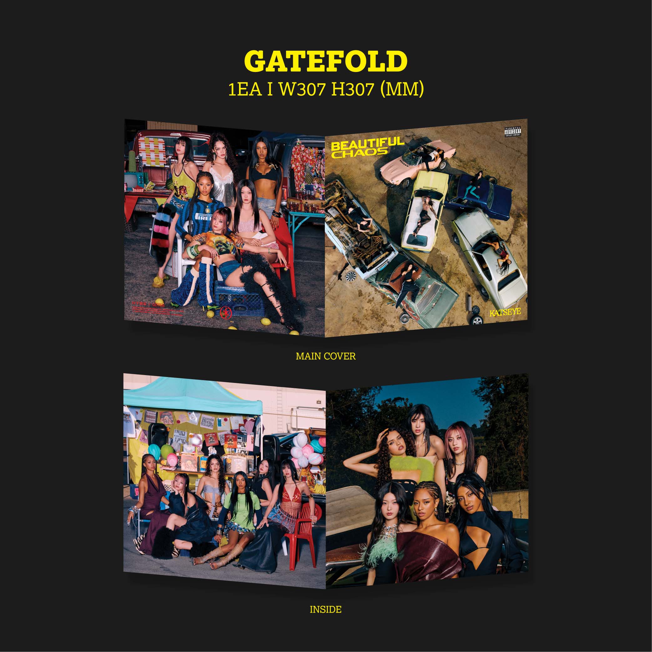 BEAUTIFUL CHAOS - Store Exclusive Vinyl + Signed Artcard