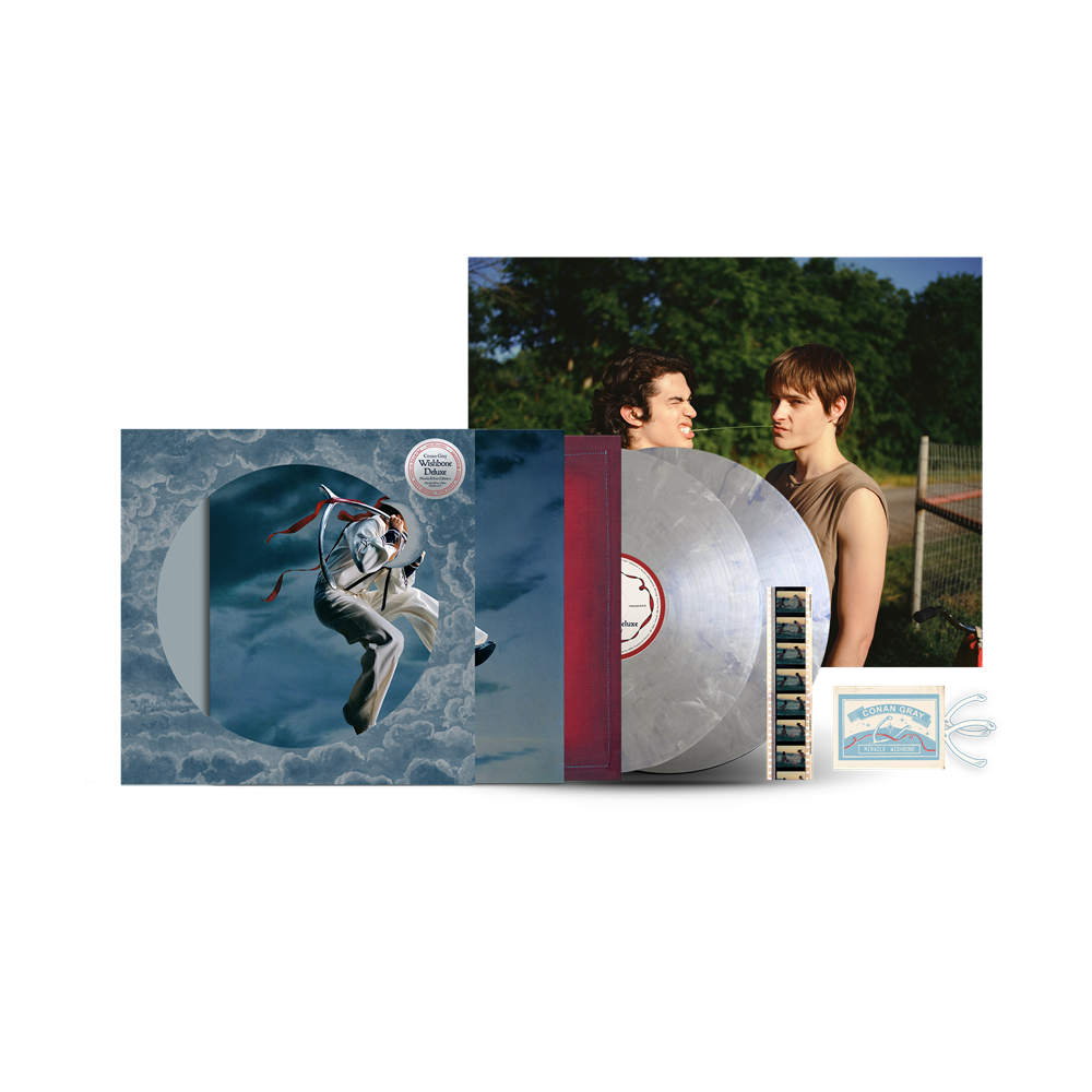 Conan Gray Wishbone Deluxe 2LP (Moths Silver Edition)