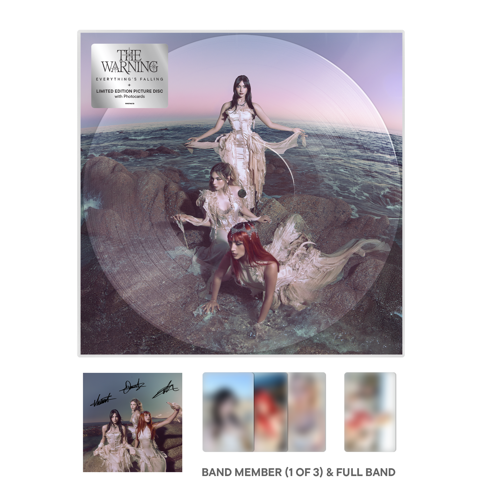 Everything's Falling Picture Disc LP + Signed Insert