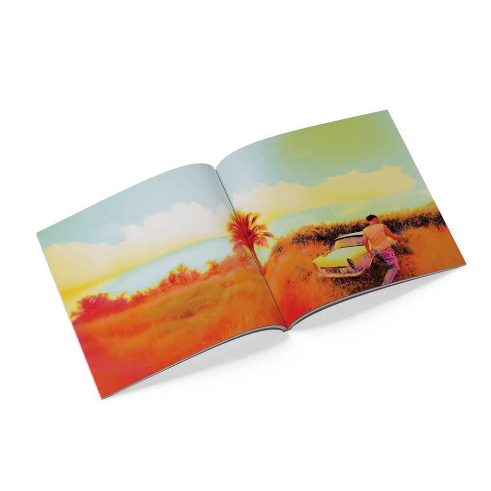 How Did I Get Here? Alternate Cover CD