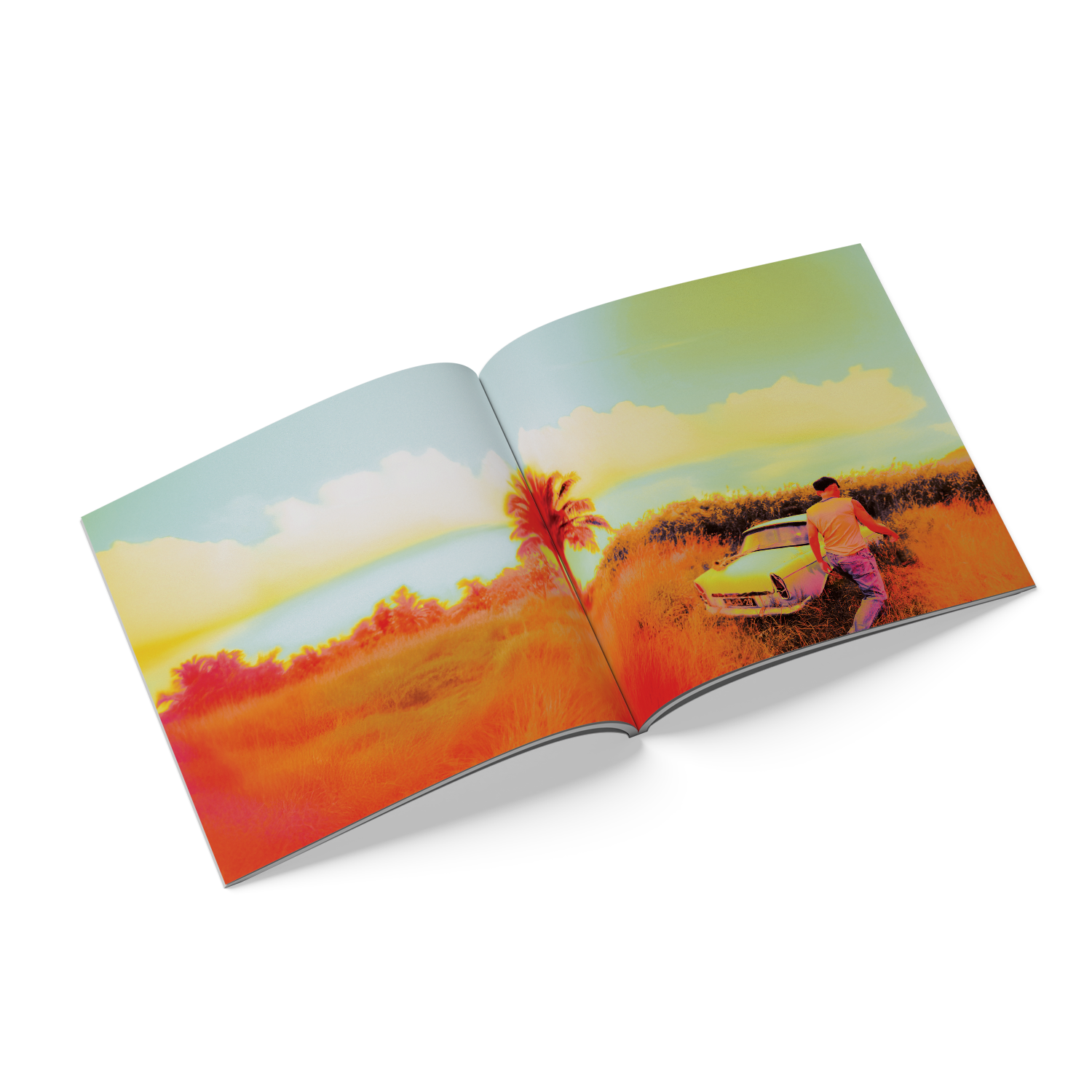 How Did I Get Here? Deluxe CD