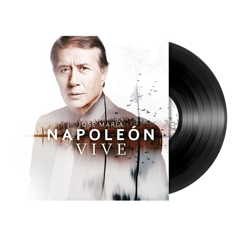 Vive 1LP Vinyl