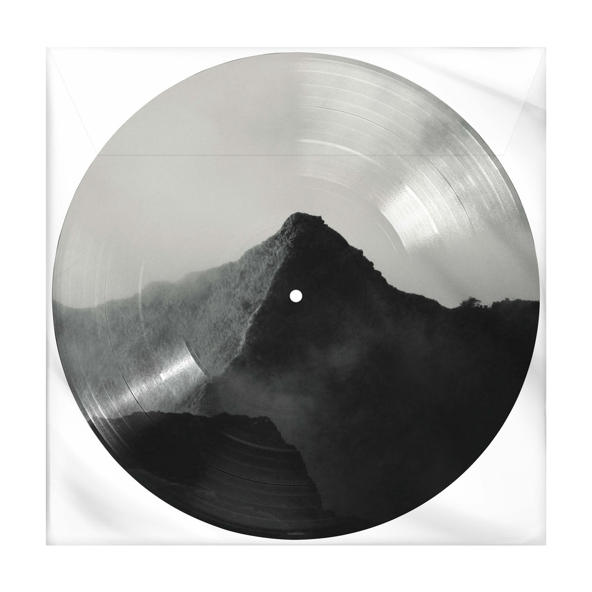 Shawn Picture Disc - uDiscover Store MX