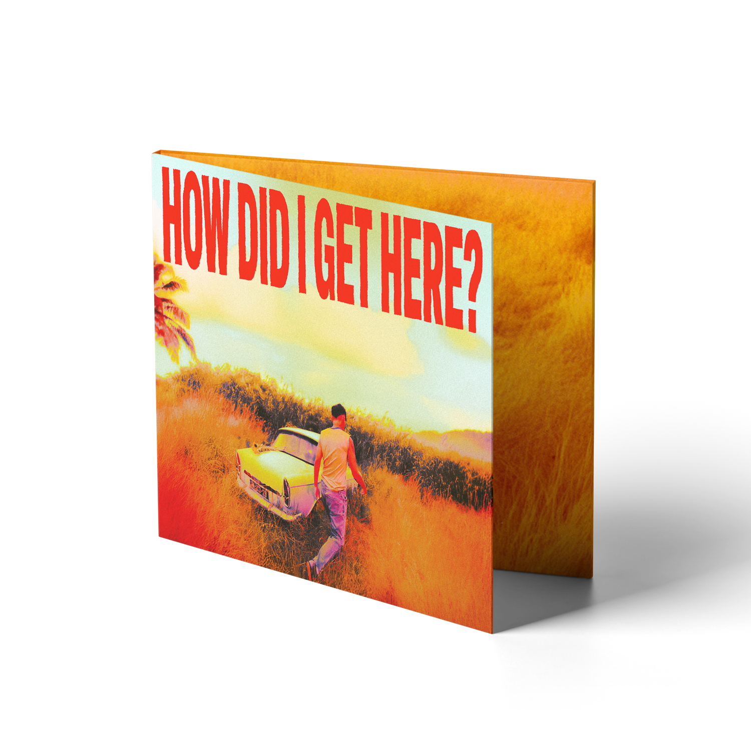 How Did I Get Here? CD