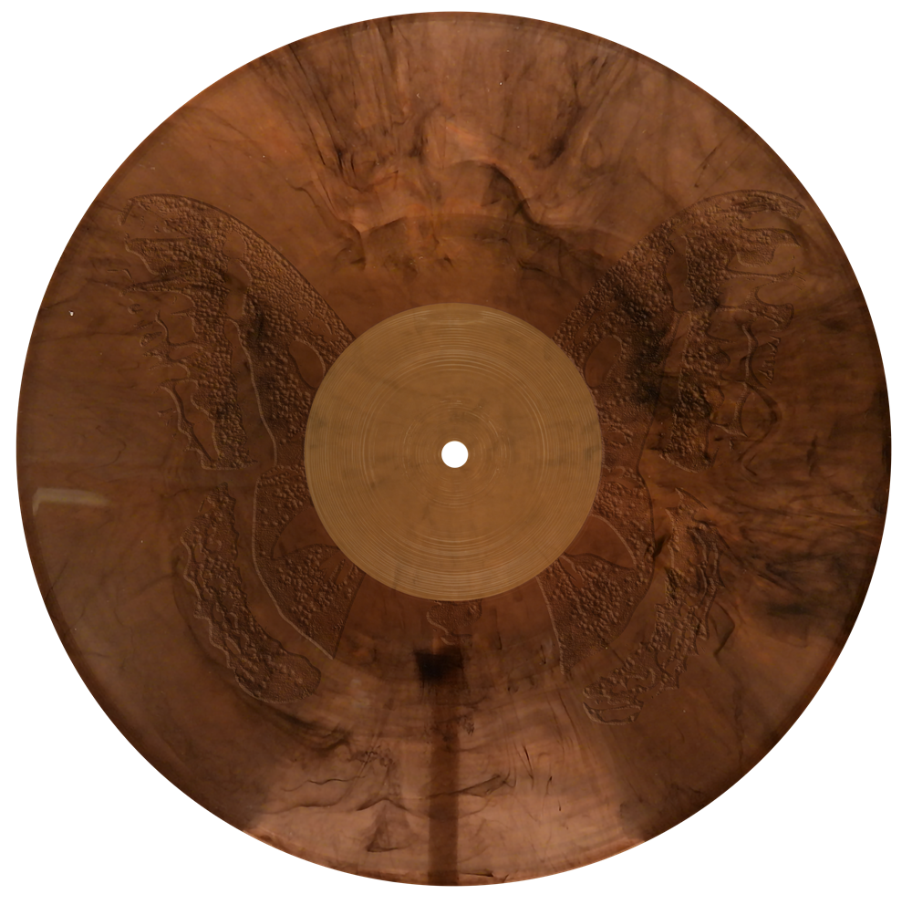 The Last Of The Bugs 12" Vinyl