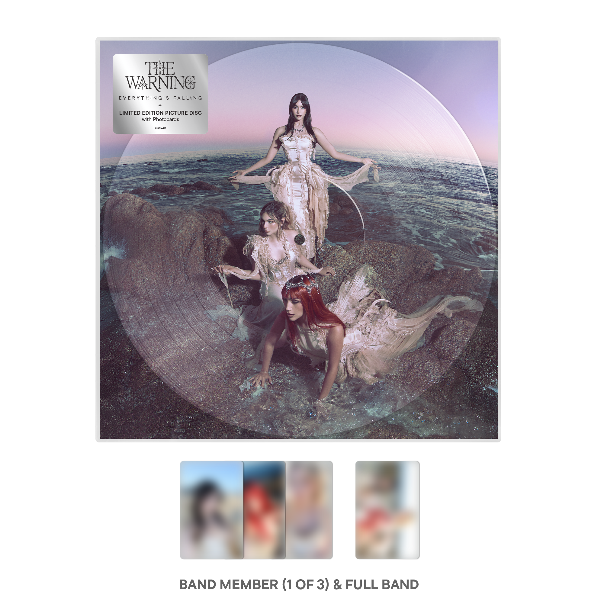 Everything's Falling Picture Disc LP