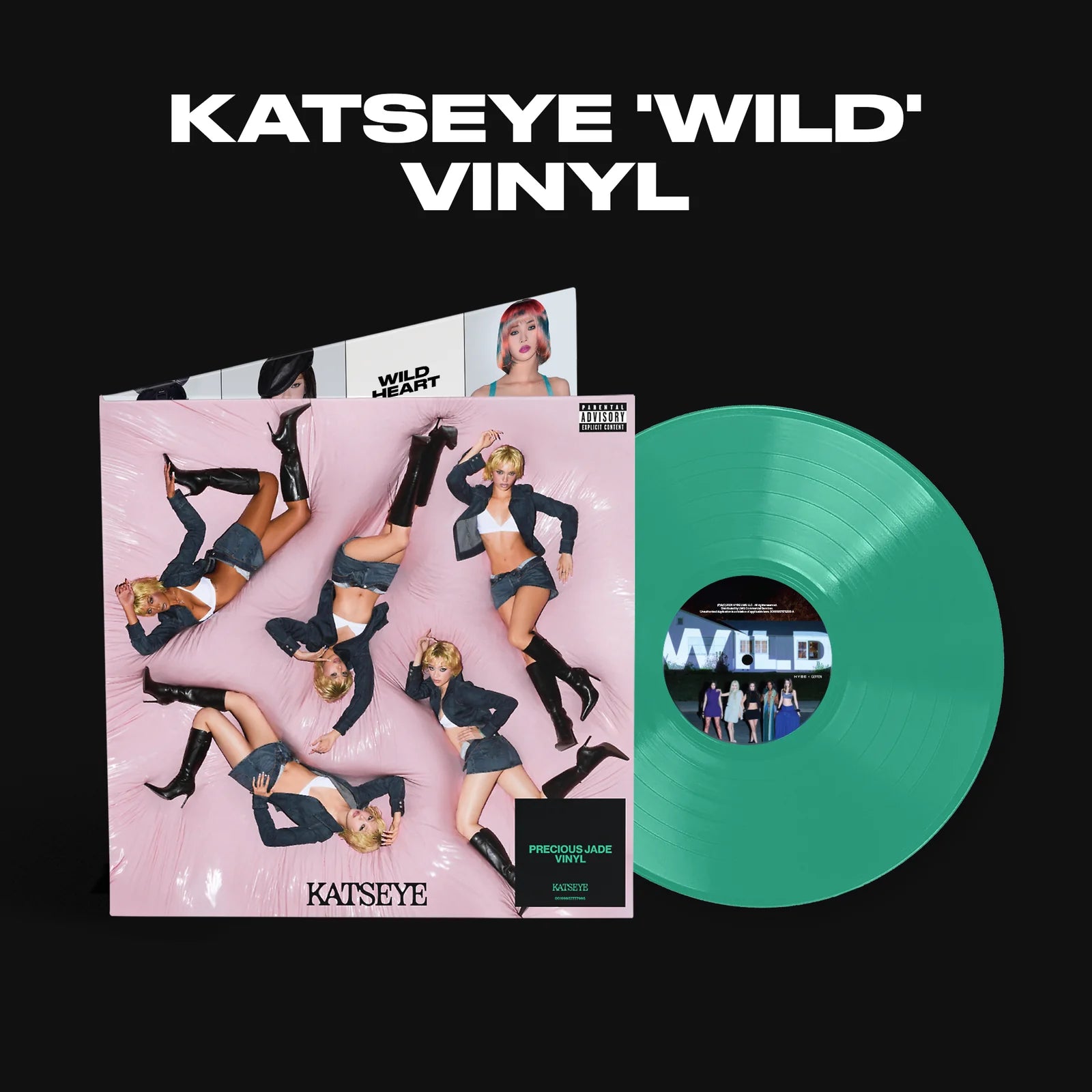 WILD Vinyl - Standard Edition + Signed Artcard