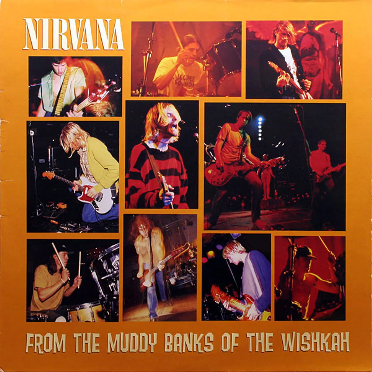 From The Muddy Banks Of The Wishkah (Vinyl)