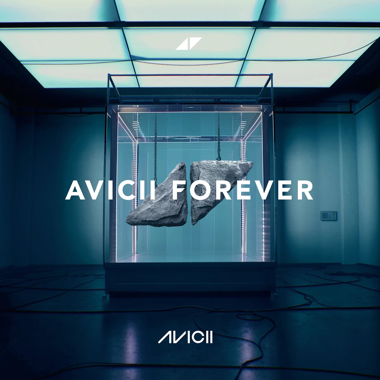 Avicii Forever (12" Vinyl Gatefold)