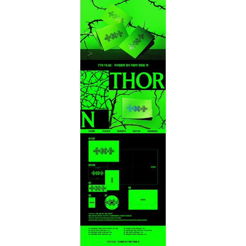 7TH YEAR: A Moment of Stillness in the Thorns (THORN Version CD)