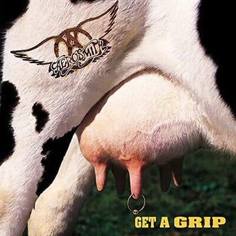 Get A Grip (2LP Vinyl)