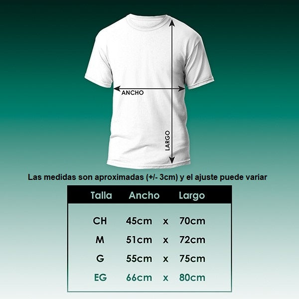 Playera "la libreta rosa tour" 2025